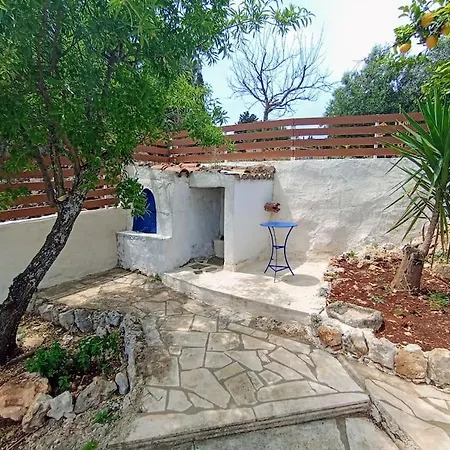 Olive House